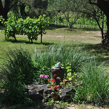 Dolac Guest house 3*
